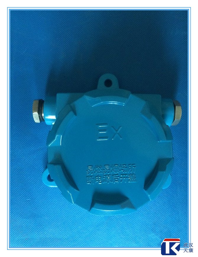 壁掛式防爆熱電阻/pt100、4-20mA輸出